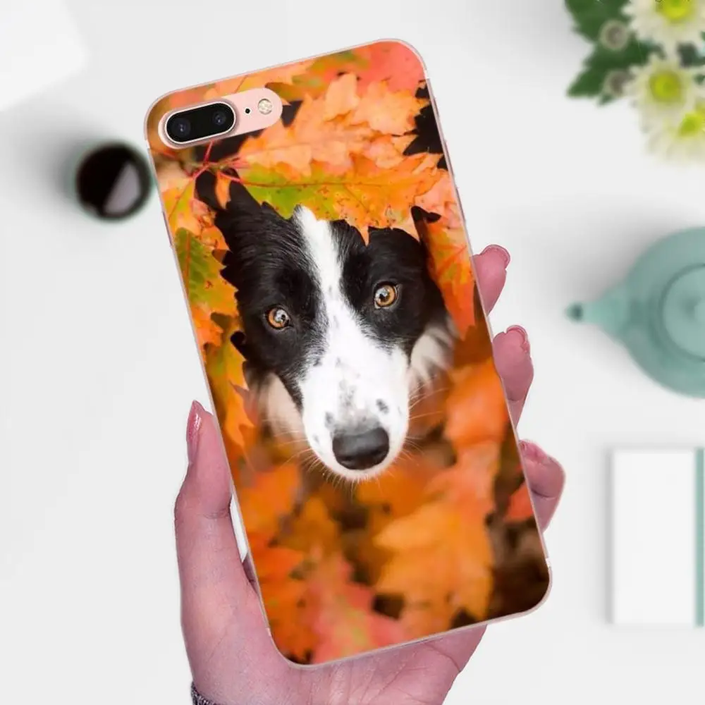 Границы собака колли породы аксессуары для телефона чехол для Huawei P8 P9 P10 P20 P30 Коврики, 7, 8, 9, 10, 20 Lite Plus Pro