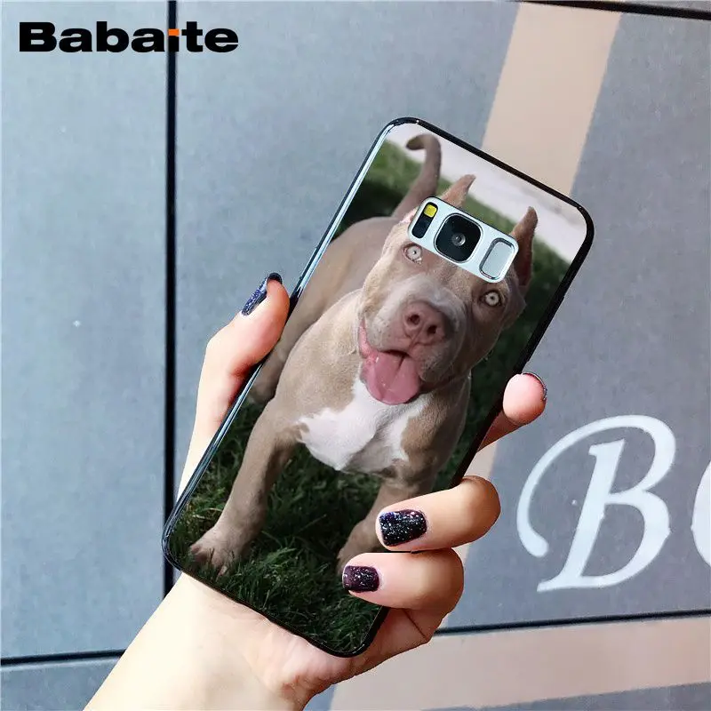 Babaite питбуль прекрасный питбуль чехол для телефона для samsung Galaxy S8 S7 edge S10 Plus S10E S10lite S9 Plus S5 M10 20