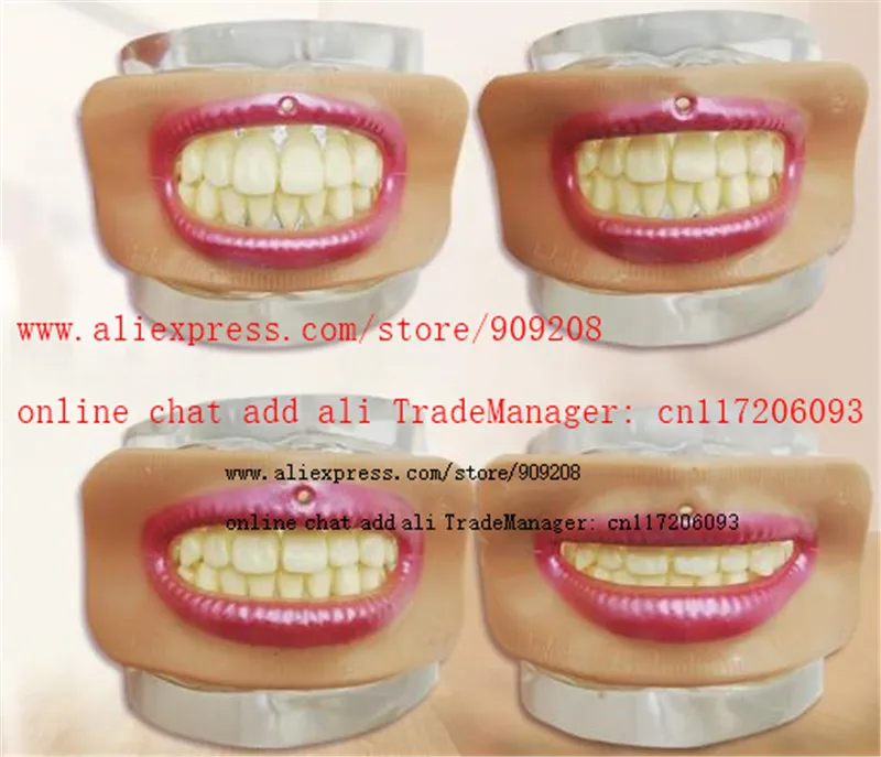 Dental Tooth alignment check mouth measuring lip measurement tool aesthetics meaurement parts accessories different mouth shape