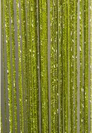 ArmyGreen Блестящая кисточка, серебряная строчка, занавеска, 300*290 см& 100x200 см, модная балдахина, перегородка для гостиной, свадьбы, сделай сам, украшение для дома - Цвет: ArmyGreen
