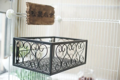 Black bed Chinchilla squirrel Dutch pig small pet fixed anti-bite iron bed summer cool autumn and winter warm - Цвет: Black bed