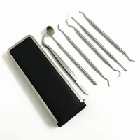 5 6 piecesset stainless stain dental mirror tools for home and professional teeth cleaning whitening