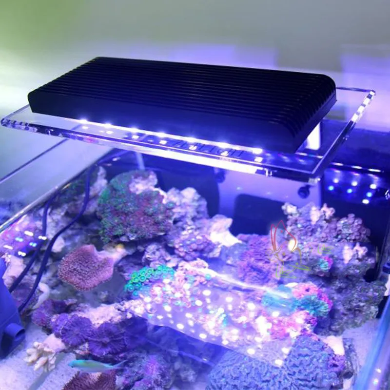 저렴한 해양 LED 조명 산호 SPS LPS 클립 수족관 바다 암초 탱크 와이파이 스마트 LED 램프