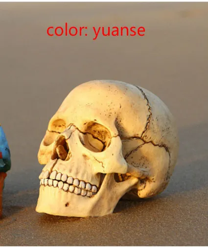 Человека Красочные Анатомия череп мозг Скелет Анатомические Стоматолог