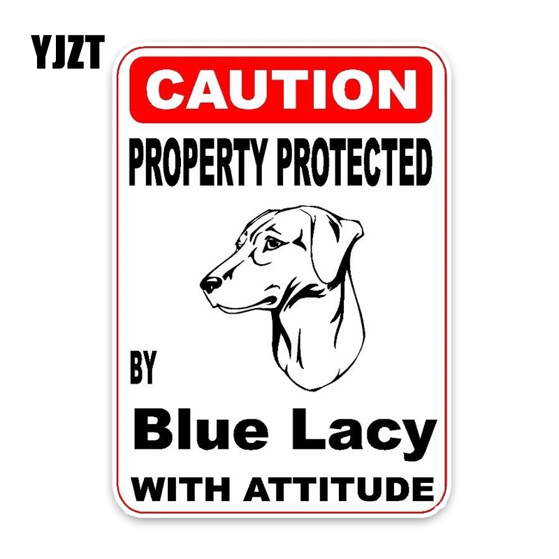 

YJZT 10*14,2 см собственность, защищенная синей кружевной собакой, креативные модные автомобильные наклейки из ПВХ