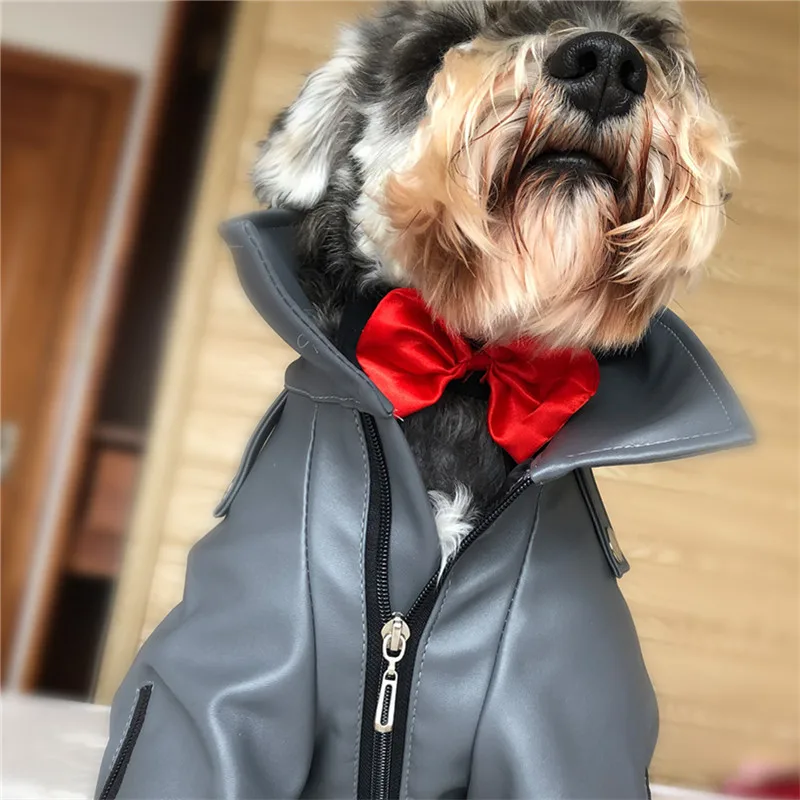 Bigeyedog, мужской, собачий галстук, мальчик, собака, галстук-бабочка, Свадебный костюм, одежда, ошейник, аксессуары для щенков, товары для питомцев, Прямая поставка