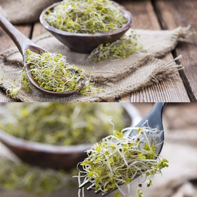10 Упаковка нержавеющая сталь Sprouting крышки Изогнутая сетка Jar комплект крышек для