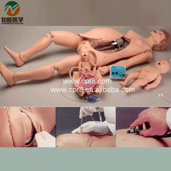 Модель первой помощи при родах | Канцтовары для офиса и дома