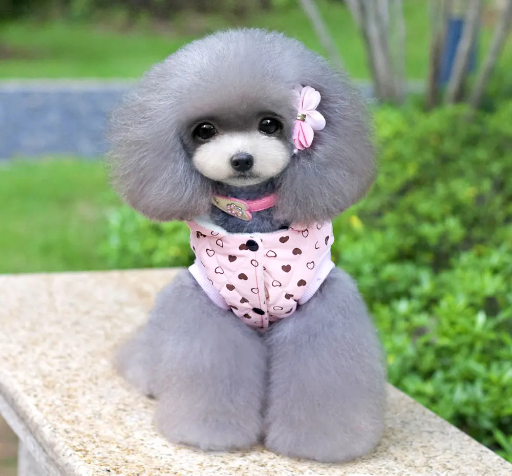 2017 маленькая кошка зимнее пальто собака холодная погода одежда флисовая куртка с