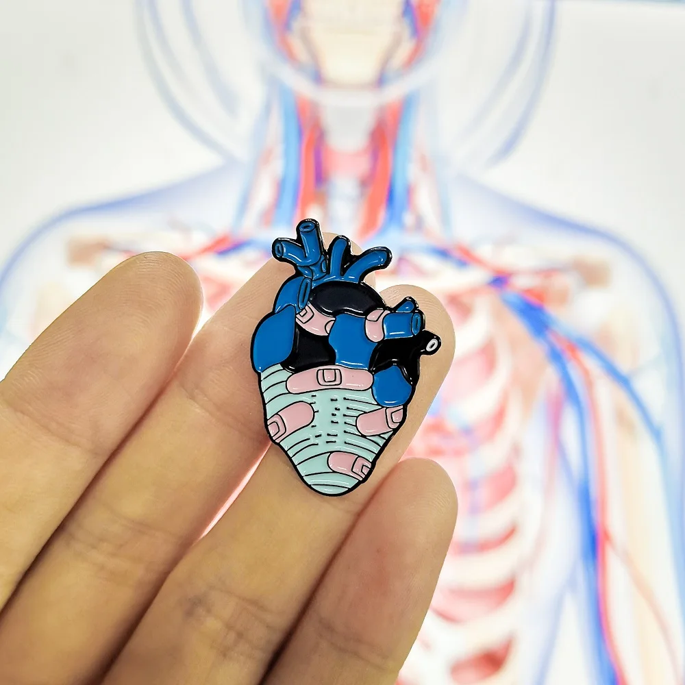 

Band-aid Heart Enamel Pins Medical Anatomy Brooch Broken Heart Neurology Pins for Doctors and Nurses Lapel Pin Bags Badge Gifts