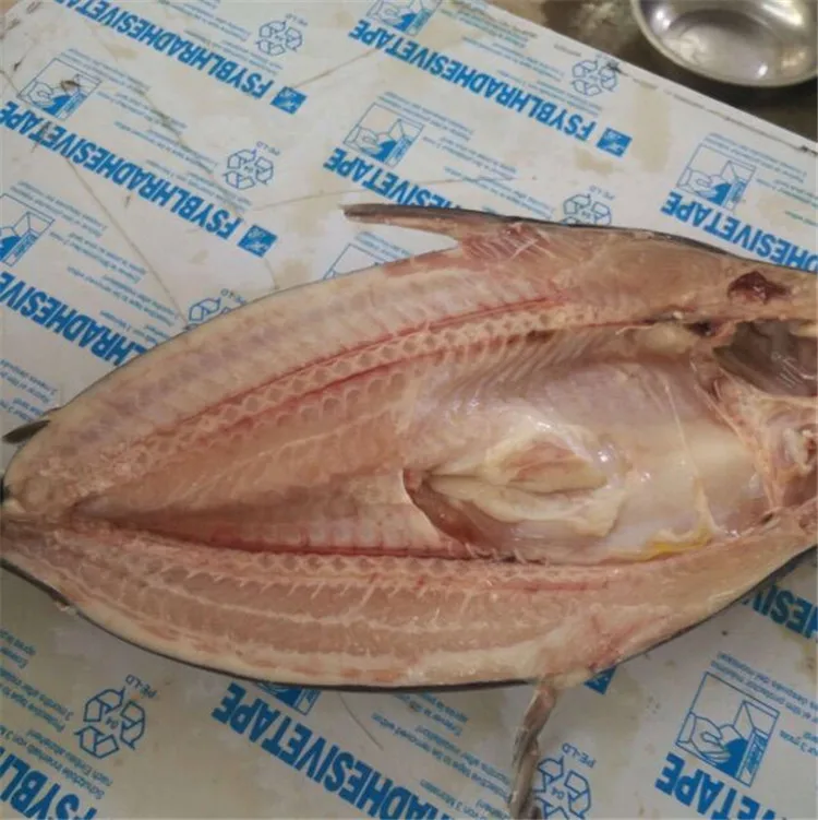 

CE approved automatic fish cutting machine meat cutter