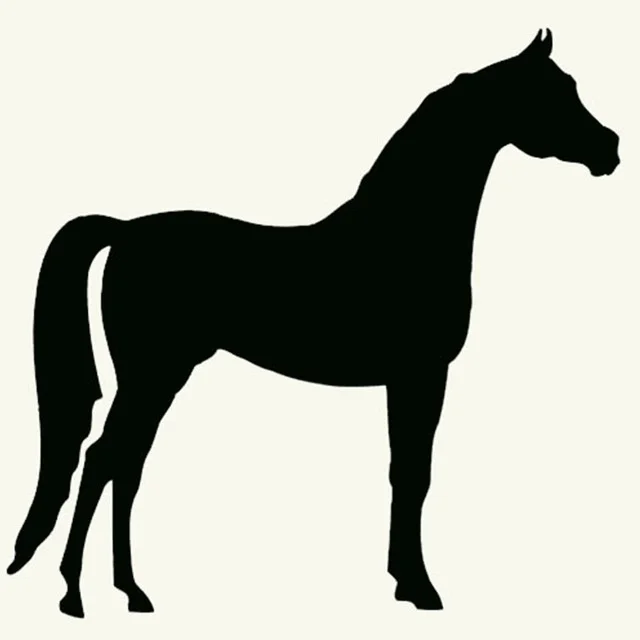 Арабская лошадь Графический Стикеры для окна двери виниловая переводная