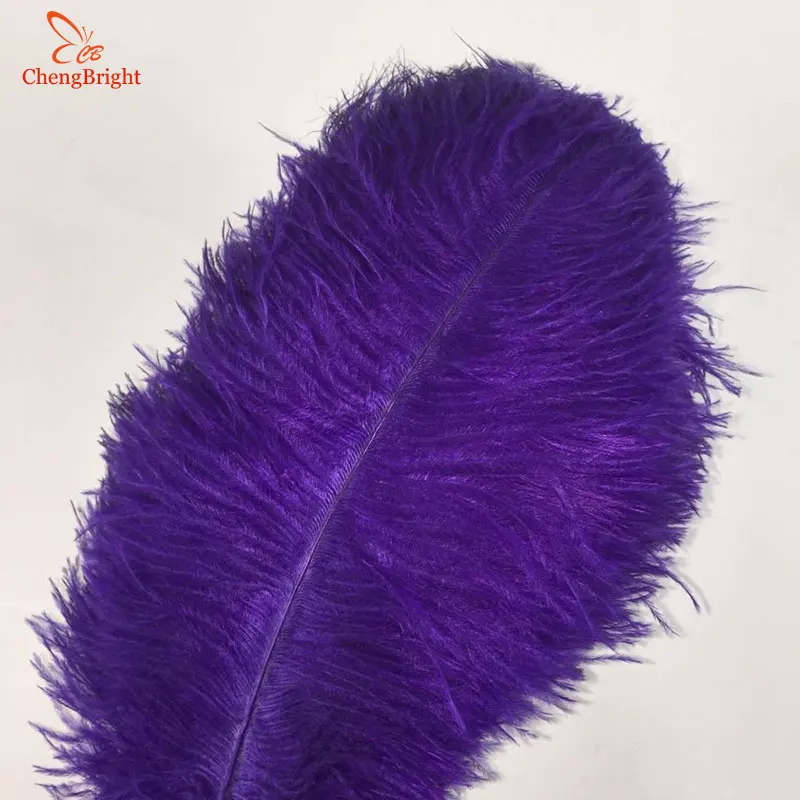 

CHENGBRIGHT 10 Pcs/Lot natural Purple Ostrich Feathers Hard Rod 15-70CM Hotel Party Wedding Decorations Jewelry Plumes Feather