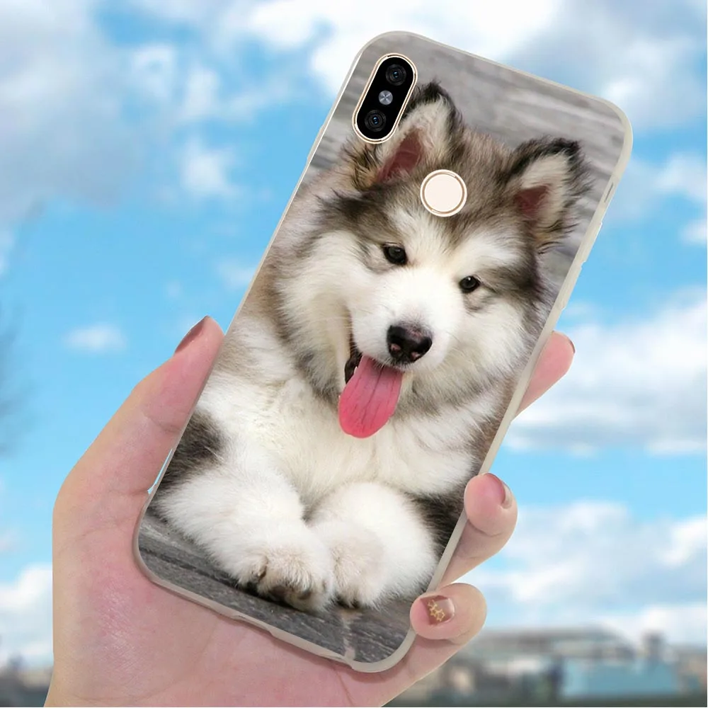 Мягкий чехол из ТПУ для телефона Redmi 7 Pro Husky собак 4X A2 A1 9se 4A 5 Plus 5A Prime 6A Note Xiaomi Mi 9 10 Lite