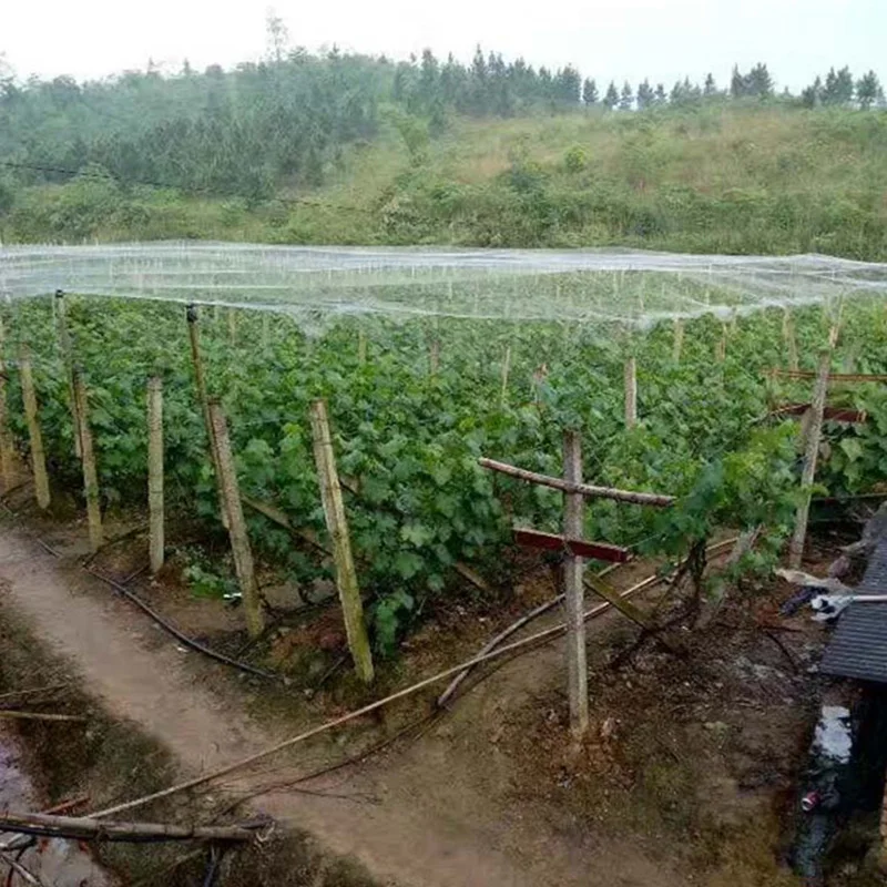 4*10M Nylon Bird Preventing Netting Anti Net Crop Fruit Pond Protection Mesh Greenhouse Garden Vegetable Pest Control | Дом и сад