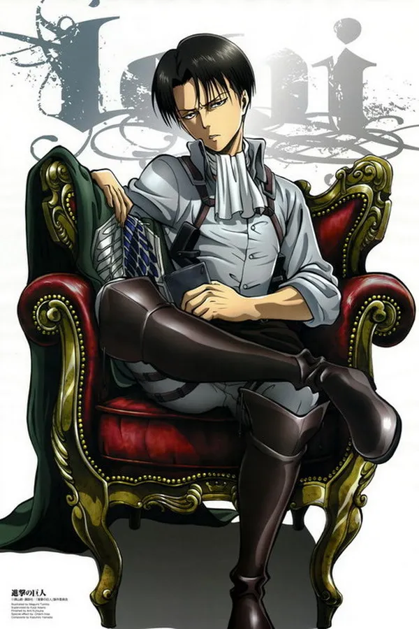 

Attack On Titan Anime Rivaille 45*30CM Wall Scroll Poster #35742