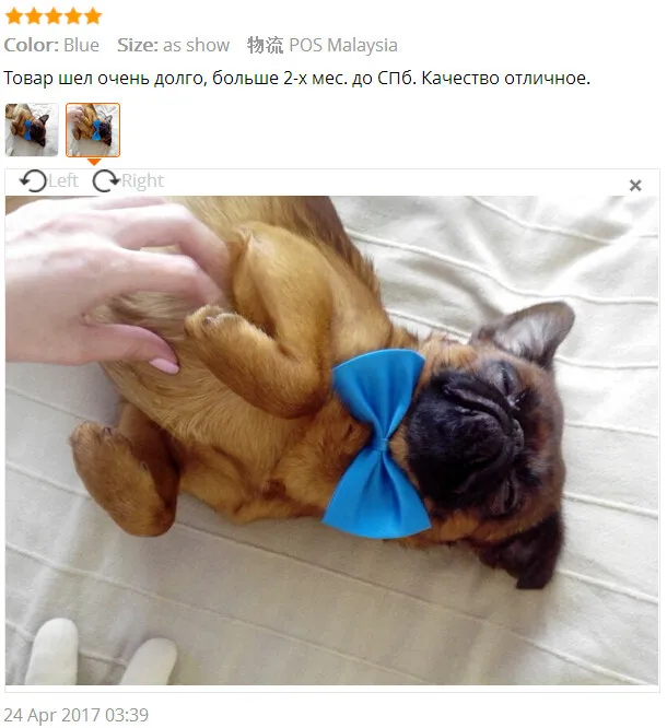 Нулевой модный Симпатичный щенок собаки Кот котенок питомец игрушка ребенок галстук-бабочка одежда