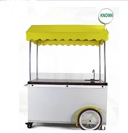 3 Wheel electric pedicab rickshaw passenger cargo bike tricycle bicycle