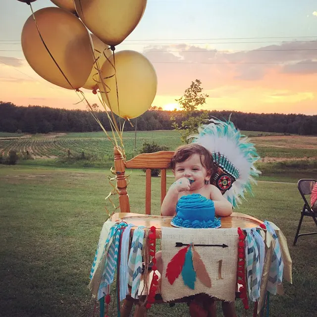 2017 Бесплатная доставка Дикие один день рождения стульчики для кормления