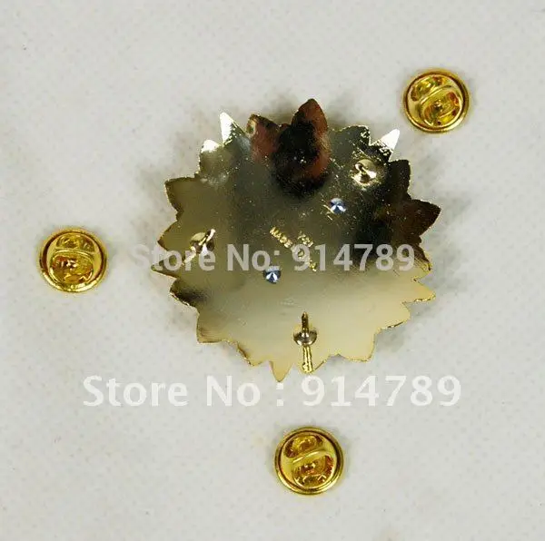 

US ARMY DOD GENERAL STAFF OFFICER RANK INSIGNIA MEDAL BADGE PIN-32034