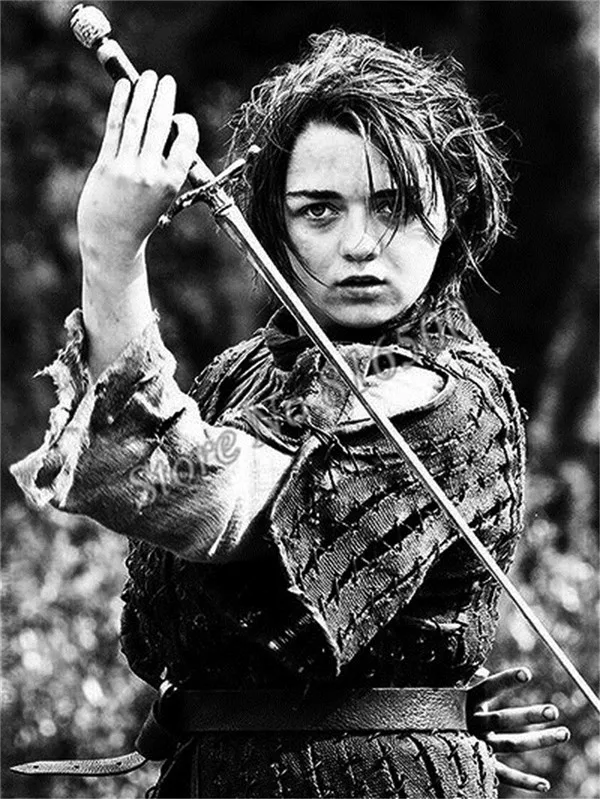 194055-F Алмазная вышивка Игра престолов Мозаика Кристалл 5D Вышивка крестиком Arya Stark полная дрель алмазная живопись Наклейка Декор узор - Цвет: 194055-F