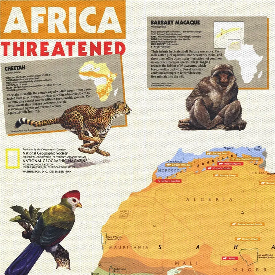 National Geographic Africa ретро Картина на холсте винтажный принт плакат настенная наклейка