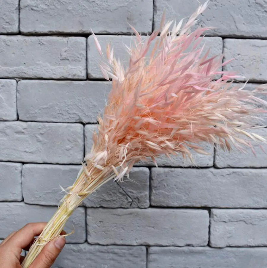 Букет высушенных аванты посевного L. Цветок для рукоделия Подарочный материал