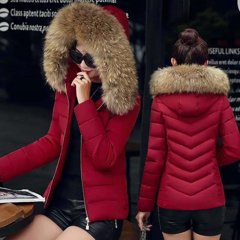 

2018 winter Korean version of the new women's Slim fur collar hoodie jacket fashion down cotton padded warm solid color jacket