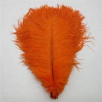 wholasale 10pcslot orange ostrich feathers for crafts 15 70cm carnival costumes party home wedding decorations natural plumas