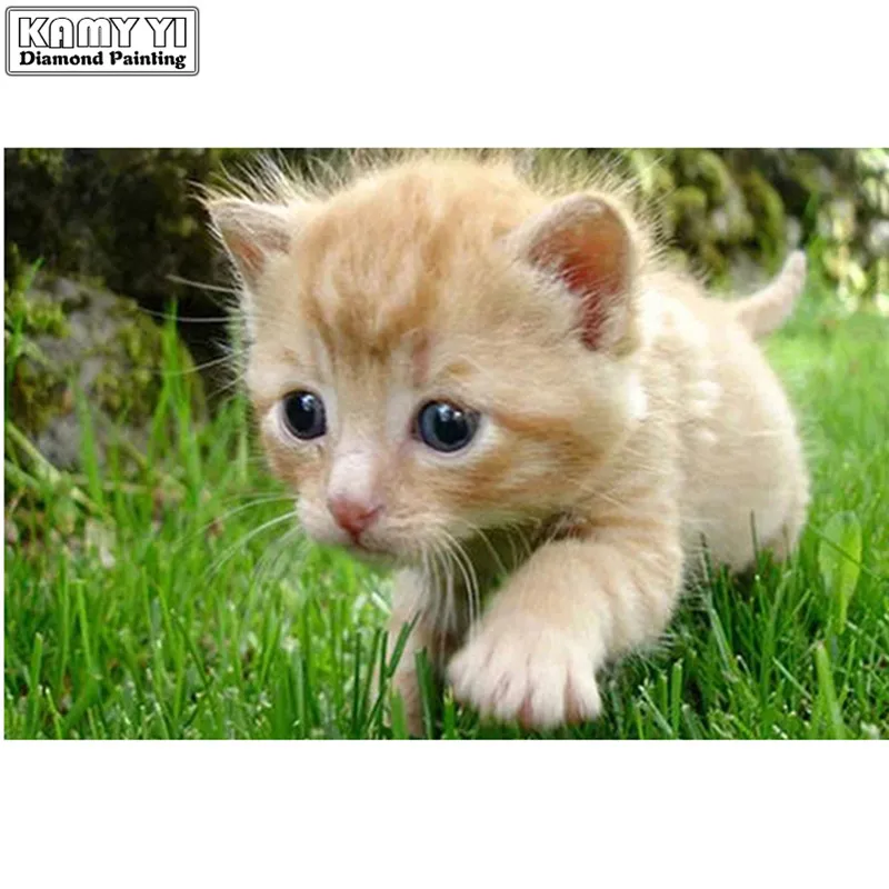 Diamond Embroidery Kitten pill Mosaic Painting Square&Round Picture Rhinestone Sale Home Decoration LWR | Дом и сад