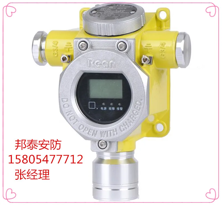 Toxic gas detector alarm combustible analyzer Domestic RBK-6000-ZL30 | Инструменты