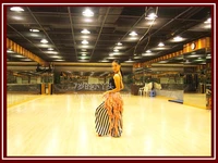 belly dance scayf mini skirt chiffon tribal belt scarf bl173 200