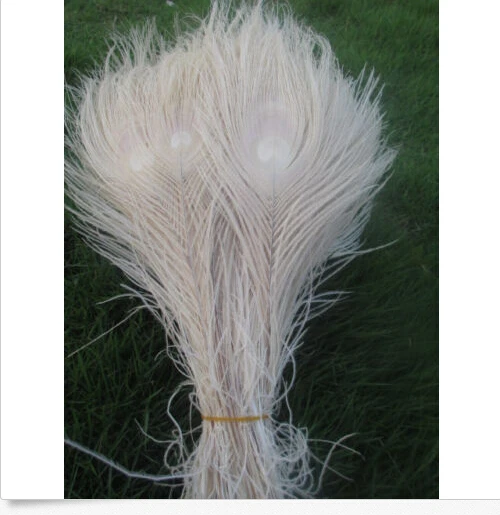 Бесплатная доставка оптовая продажа высокое качество 10 шт. редкая бежевая