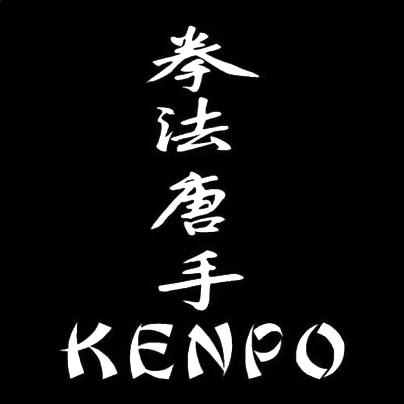 12 1*15 9 см KENPO Kanji японский персонаж автомобиля Стайлинг кузова наклейки аксессуары