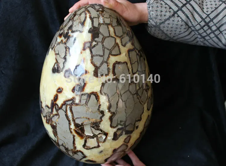 Огромный Натуральный Камень дракона Septarium Fossil Crystal Egg Healing | Дом и сад