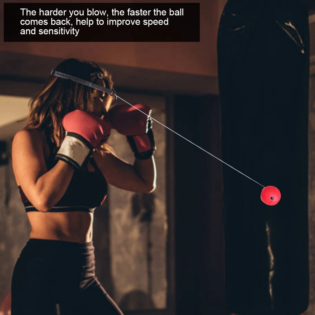 

Fitness & Body Building