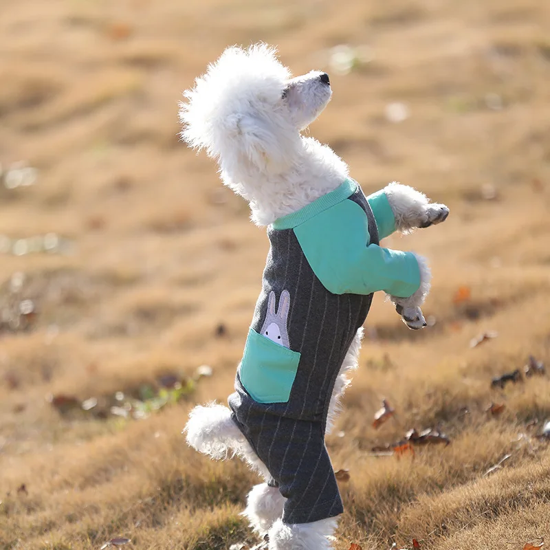 

Pet Dog Clothes Chihuahua Spring Warm Coat Jacket Cat Sleeve Sweatshirt Pet Coat Jacket Dog Clothes