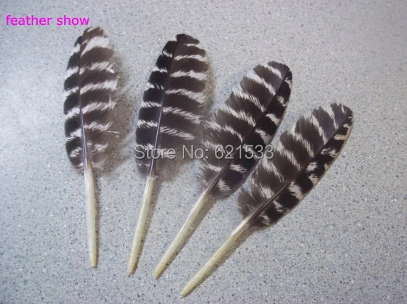 

100Pcs/LOT! 7-10cm Wild Turkey Small Quills,Wild Turkey Small Wing Feathers,Wild Turkey Feathers for crafts,arts etc