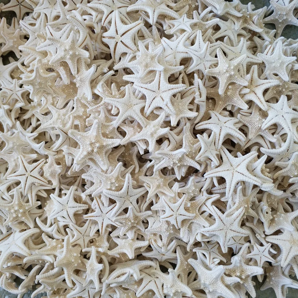 20 шт./компл. звезда рыба морское животное ракушка Пляжное украшение для аквариума