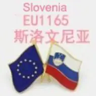 Slovenia Двойные флаги дружбы Национальный флаг металлический лацкан булавка ЕС Европейский союз - Цвет: Slovenia
