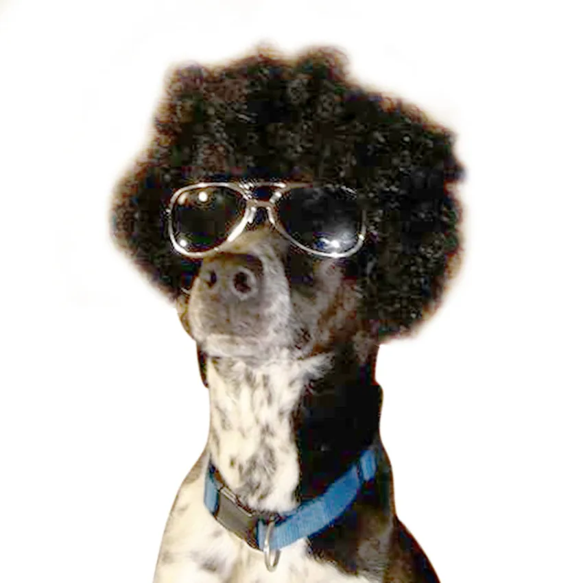 Яркие Волнистые Короткие искусственные волосы для маленьких и средних собак