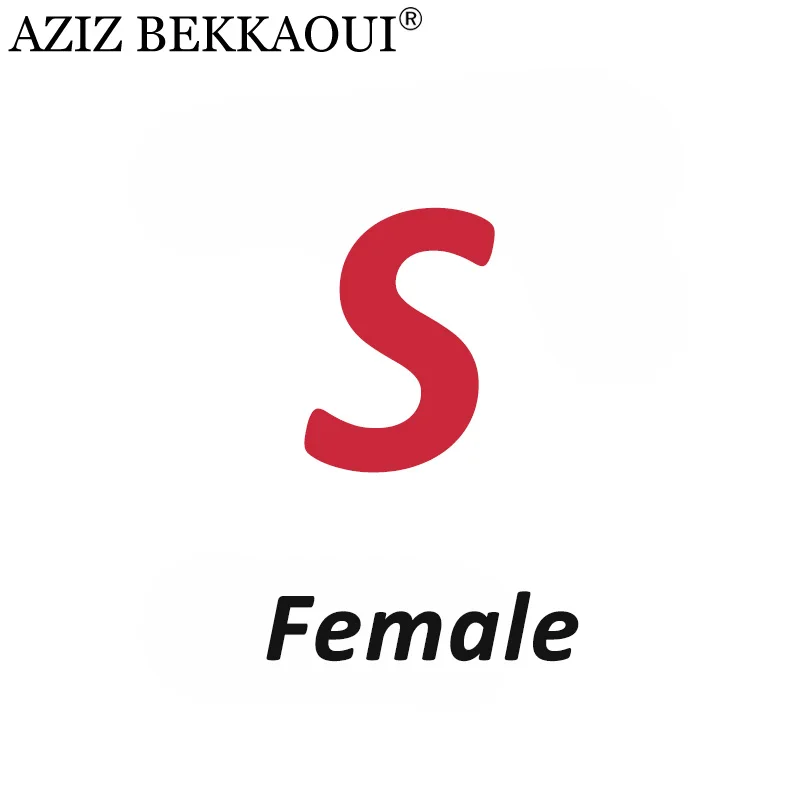 Female S AZIZ BEKKAOUI DIY обслуживание на заказ специальный зимний подарок для друзей, любимых подарок на день Святого Валентина Прямая поставка 3040-49 - Окраска металла: Female S