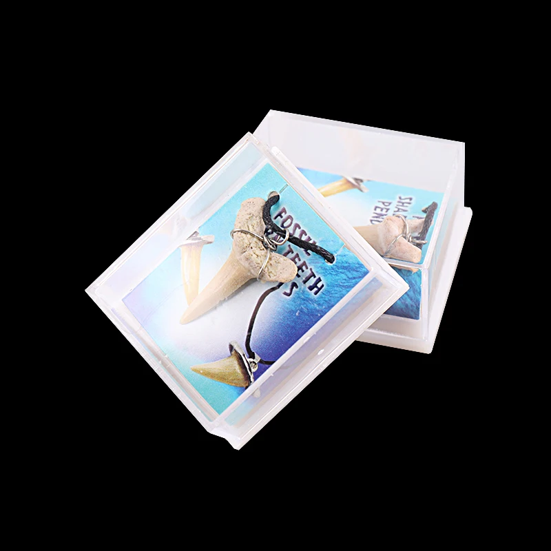 

1pcs Natural Fossiles Necklace Shark Tooth Unisex Pendant Necklaces