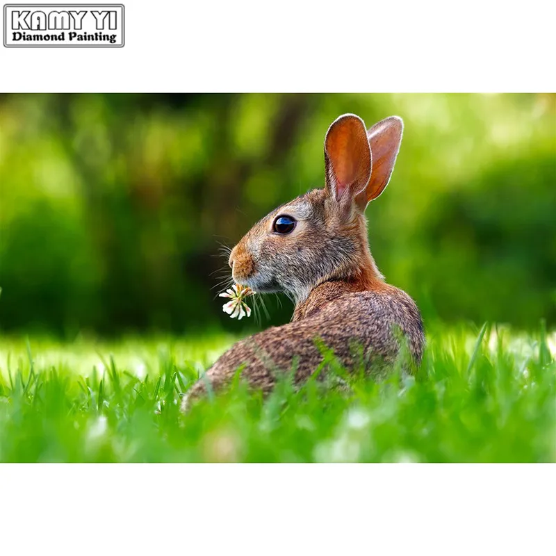 

Алмазная картина «сделай сам», Шелковый цветок, кролик, круглая и квадратная Алмазная вышивка, вышивка крестиком, алмазная картина на стену ...