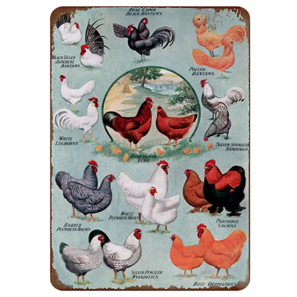 Fresh Eggs Vintage Metal Sign Decorative Plates Tin Retro Shabby Chic Wall Poster 20x30cm | Дом и сад