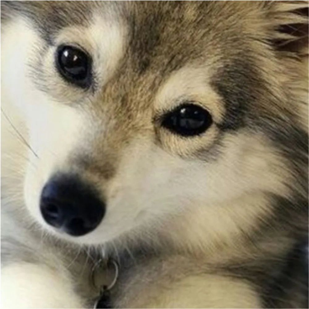 Комплекты для малышей Детские комплекты одежды девочек детская модная красивая