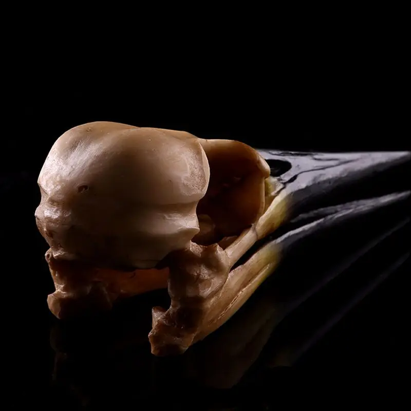 JAYQUERING Смолы Динозавров Птица Череп модель украшения дома новые творческие