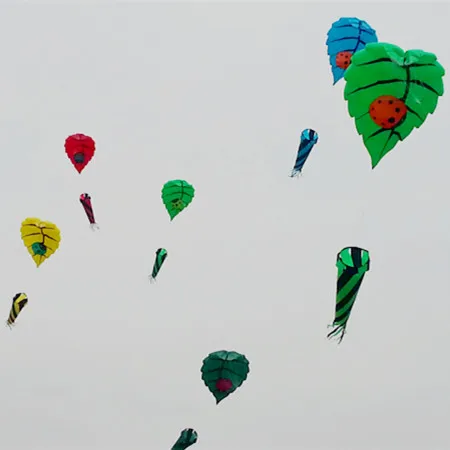 

Воздушный змей, мягкий, нейлоновый, 5 м