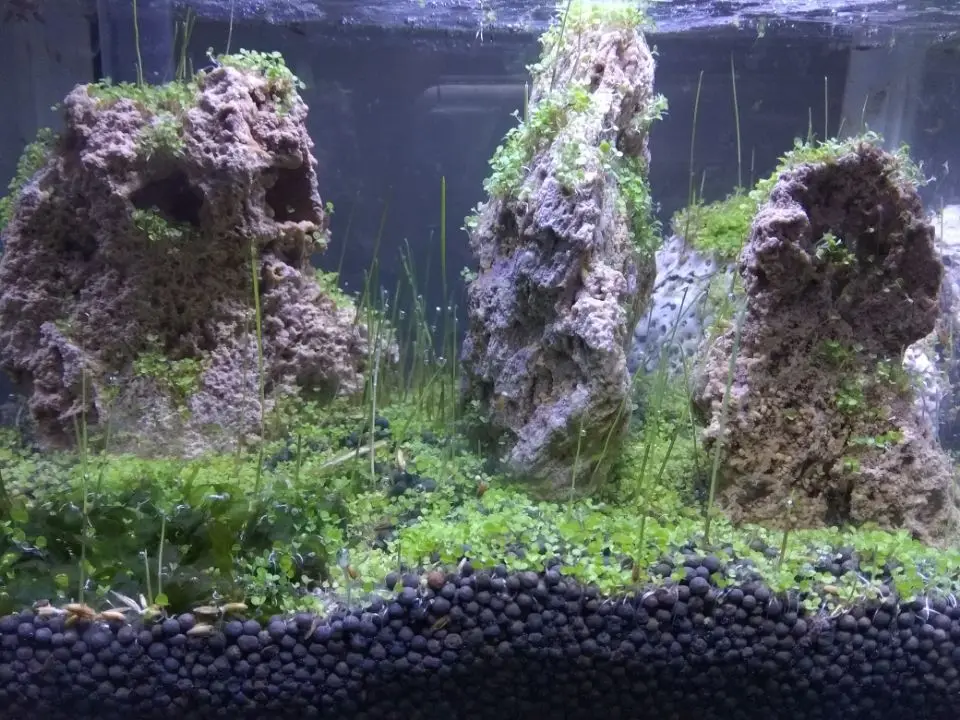 Природный необработанный камень Дракон Камень ohko fish tank озеленение горного камня украшение аквариума бонсай озеленение водной травы