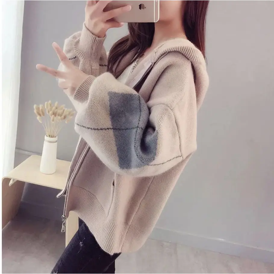 Short Thick Knit Cardigan 2019 New Loose Hooded Zipper Sweater Coat Female |